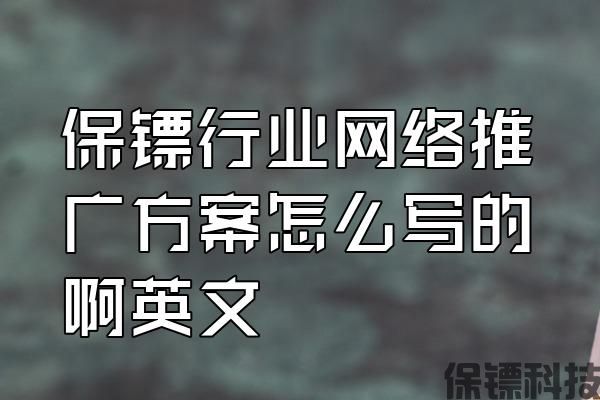 保鏢行業(yè)網(wǎng)絡推廣方案怎么寫的啊英文