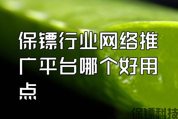 保鏢行業(yè)網(wǎng)絡(luò)推廣平臺哪個好用點