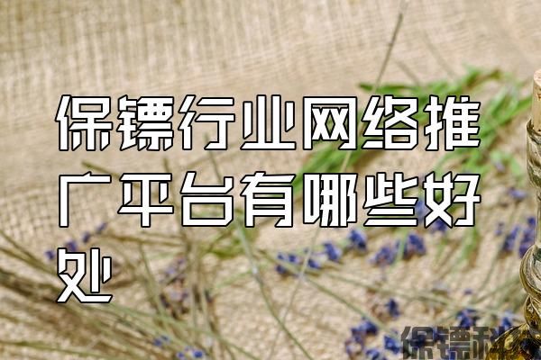 保鏢行業(yè)網(wǎng)絡(luò)推廣平臺有哪些好處