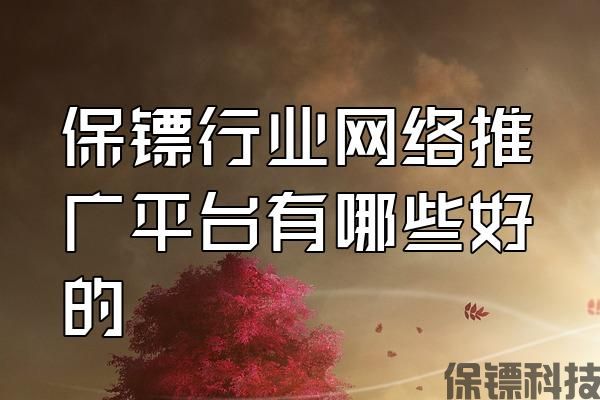 保鏢行業(yè)網(wǎng)絡(luò)推廣平臺有哪些好的