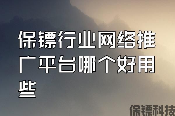 保鏢行業(yè)網(wǎng)絡(luò)推廣平臺哪個好用些