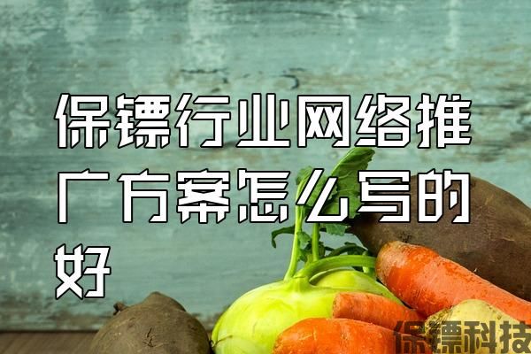 保鏢行業(yè)網(wǎng)絡(luò)推廣方案怎么寫(xiě)的好