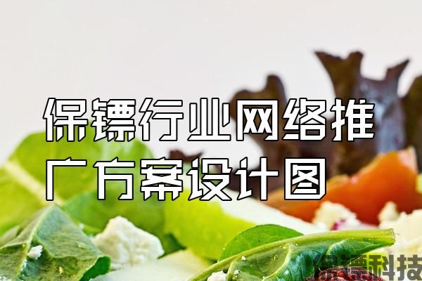 保鏢行業(yè)網(wǎng)絡推廣方案設計圖