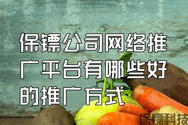 保鏢公司網(wǎng)絡(luò)推廣平臺(tái)有哪些好的推廣方式