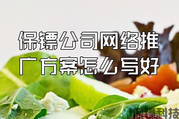 保鏢公司網(wǎng)絡推廣方案怎么寫好