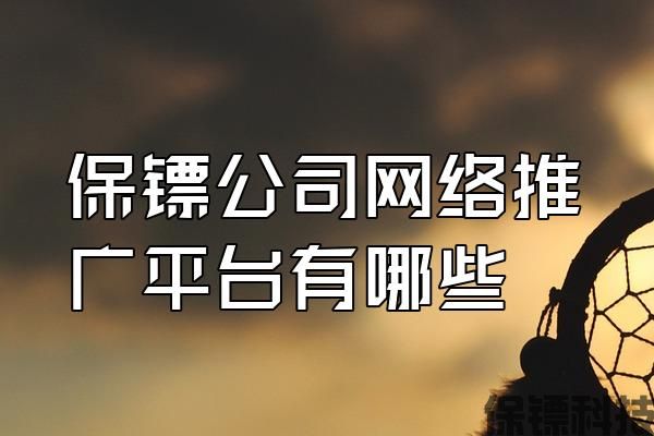 保鏢公司網(wǎng)絡(luò)推廣平臺(tái)有哪些