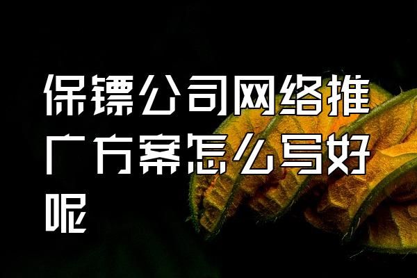 保鏢公司網(wǎng)絡(luò)推廣方案怎么寫(xiě)好呢