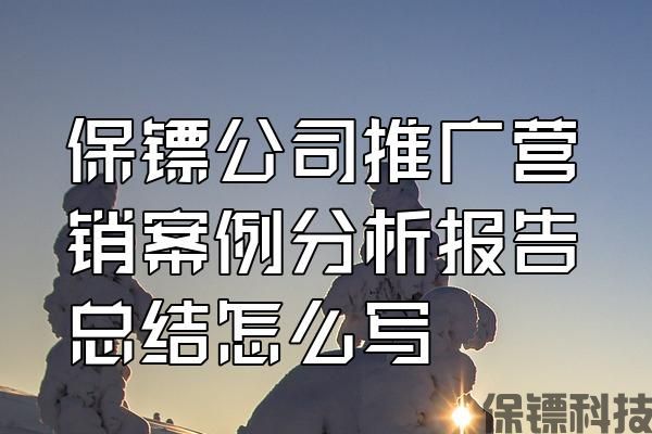 保鏢公司推廣營(yíng)銷(xiāo)案例分析報(bào)告總結(jié)怎么寫(xiě)