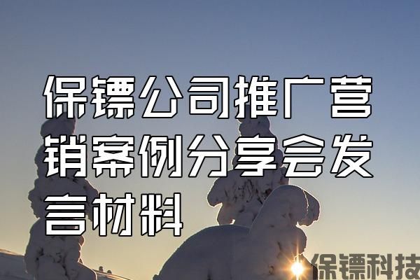 保鏢公司推廣營(yíng)銷案例分享會(huì)發(fā)言材料