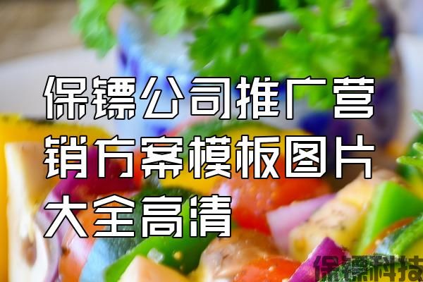 保鏢公司推廣營銷方案模板圖片大全高清