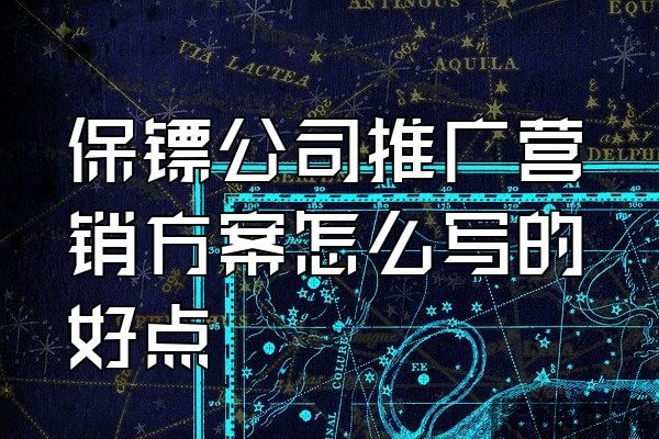 保鏢公司推廣營銷方案怎么寫的好點(diǎn)