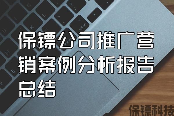 保鏢公司推廣營銷案例分析報告總結