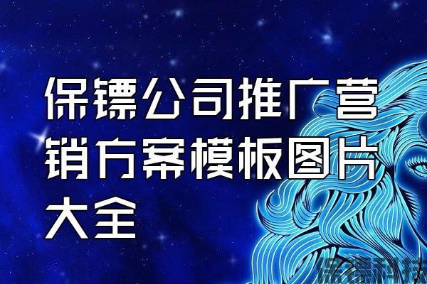 保鏢公司推廣營銷方案模板圖片大全