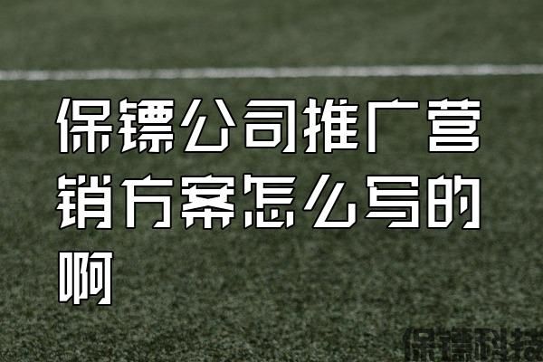 保鏢公司推廣營銷方案怎么寫的啊