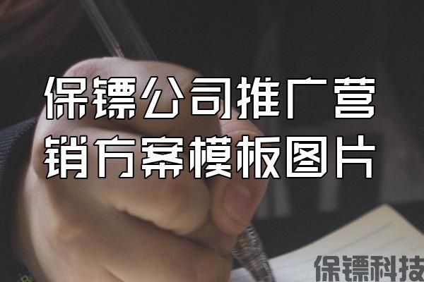 保鏢公司推廣營銷方案模板圖片