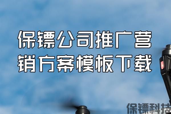 保鏢公司推廣營銷方案模板下載