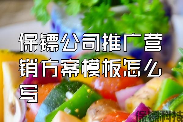 保鏢公司推廣營銷方案模板怎么寫