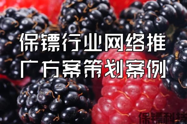 保鏢行業(yè)網絡推廣方案策劃案例