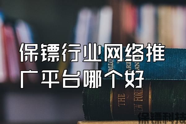 保鏢行業(yè)網(wǎng)絡(luò)推廣平臺(tái)哪個(gè)好