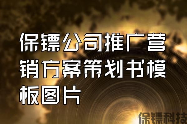 保鏢公司推廣營(yíng)銷方案策劃書模板圖片