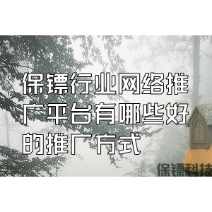 保鏢行業(yè)網(wǎng)絡(luò)推廣平臺有哪些好的推廣方式