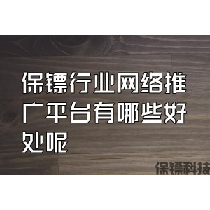 保鏢行業(yè)網(wǎng)絡(luò)推廣平臺有哪些好處呢