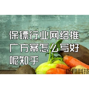 保鏢行業(yè)網(wǎng)絡(luò)推廣方案怎么寫好呢知乎