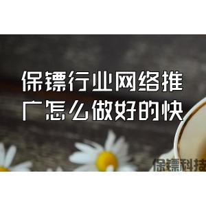 保鏢行業(yè)網(wǎng)絡(luò)推廣怎么做好的快