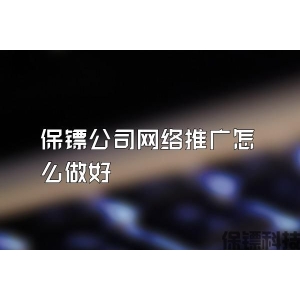 保鏢公司網(wǎng)絡推廣怎么做好