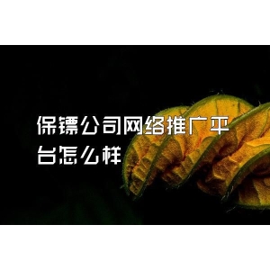 保鏢公司網(wǎng)絡推廣平臺怎么樣