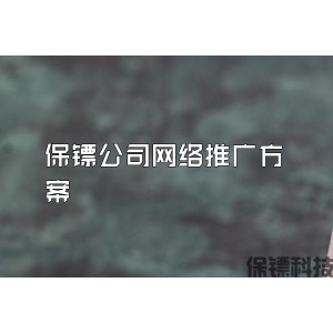 保鏢公司網(wǎng)絡推廣方案