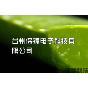 臺州保鏢電子科技有限公司