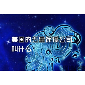 美國的五星保鏢公司叫什么