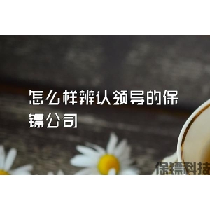 怎么樣辨認領(lǐng)導(dǎo)的保鏢公司