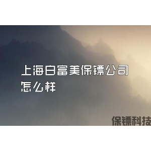 上海白富美保鏢公司怎么樣