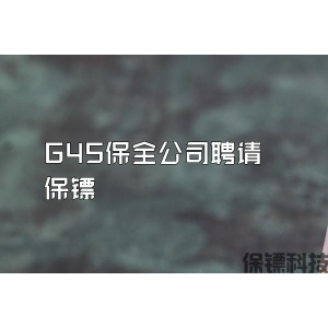 G4S保全公司聘請保鏢