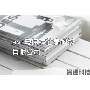 avr電保鏢仕泰科技有限公司