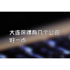 大連保鏢有幾個(gè)公司好一點(diǎn)