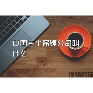 中國三個保鏢公司叫什么