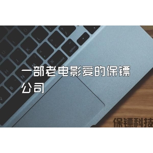 一部老電影愛的保鏢公司