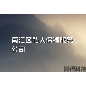 南匯區(qū)私人保鏢服務(wù)公司