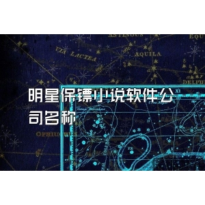 明星保鏢小說軟件公司名稱