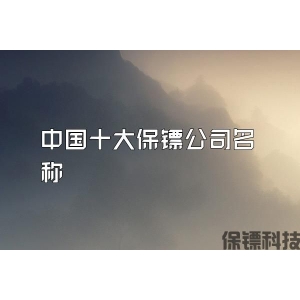 中國十大保鏢公司名稱