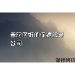 普陀區(qū)好的保鏢服務(wù)公司