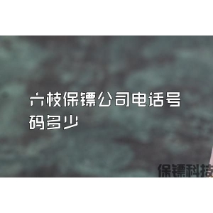 六枝保鏢公司電話號碼多少