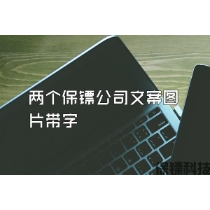 兩個保鏢公司文案圖片帶字