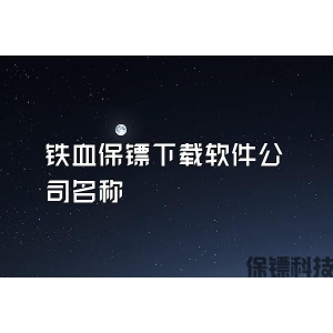 鐵血保鏢下載軟件公司名稱