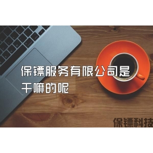 保鏢服務有限公司是干嘛的呢