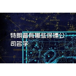 特朗普有哪些保鏢公司名字