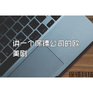 講一個保鏢公司的歐美劇